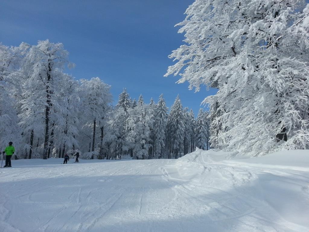 Boehmerwald Pur2 Klaffer am Hochficht Εξωτερικό φωτογραφία